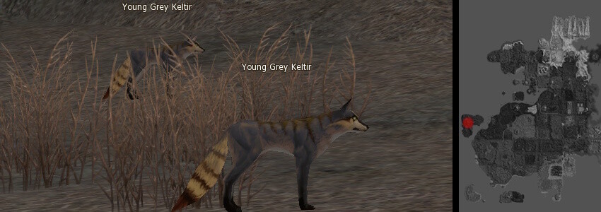 Keltir l2